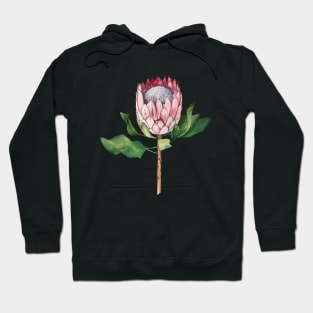Watercolor protea flower Hoodie